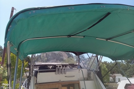 Skipjack Boats Flybridge 262