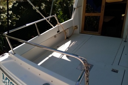 Skipjack Boats Flybridge 262