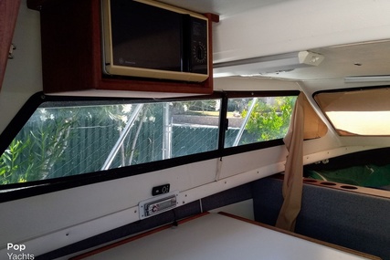 Skipjack Boats Flybridge 262