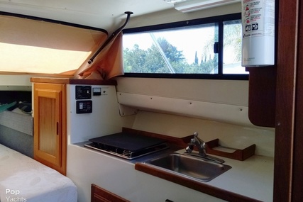 Skipjack Boats Flybridge 262