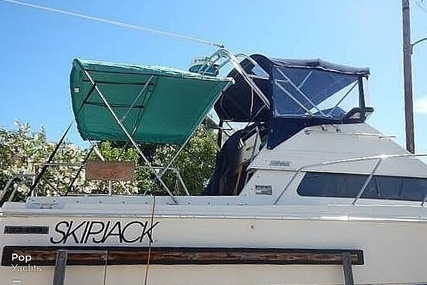 Skipjack Boats Flybridge 262