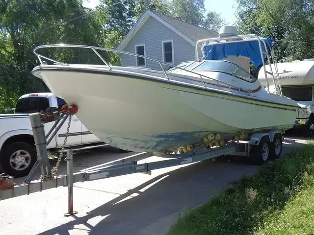 Boston Whaler 2500 Temptation