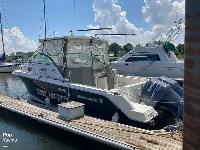 Wellcraft 290 Coastal