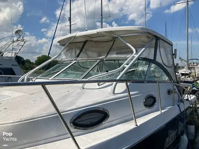 Wellcraft 290 Coastal