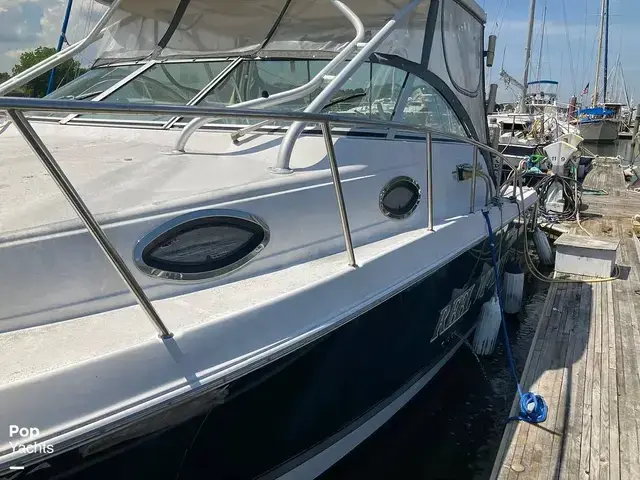 Wellcraft 290 Coastal