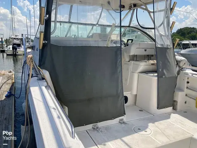 Wellcraft 290 Coastal