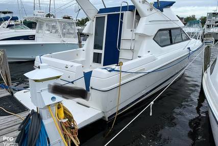 Bayliner 288 Command Bridge