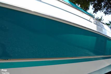 Chris Craft Concept 238