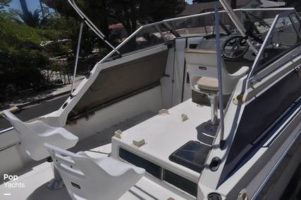 Bayliner 2750 Ciera