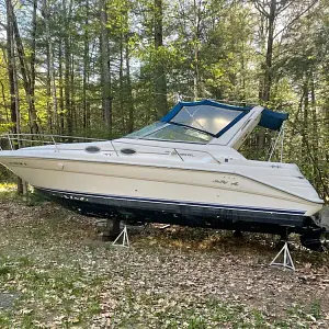 1995 Sea Ray Sundancer 290