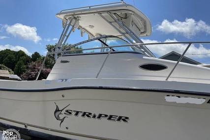 Seaswirl Striper 2301