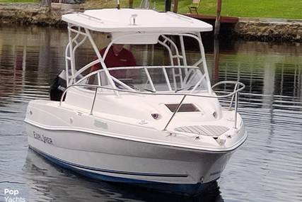 Campion Explorer 622 WA