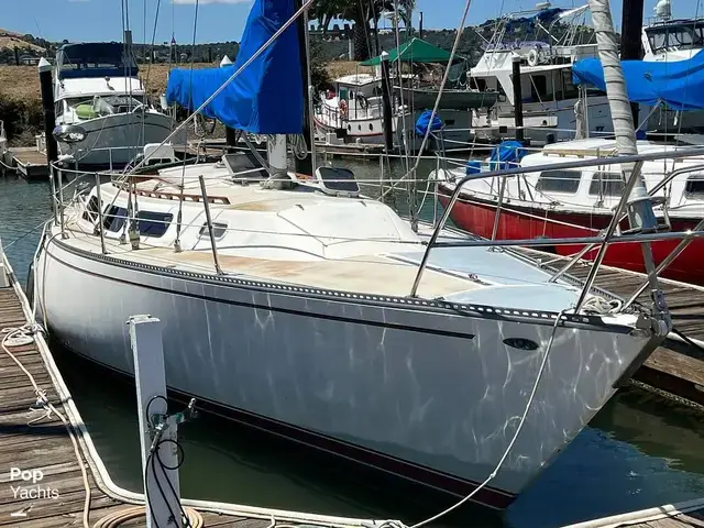 Catalina 38