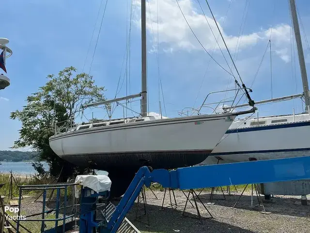 Catalina 30 Tall Rig