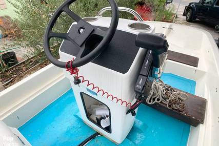 Boston Whaler 14