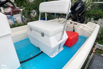 Boston Whaler 14