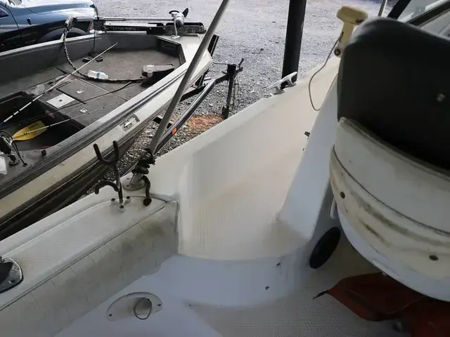 Bayliner 2509