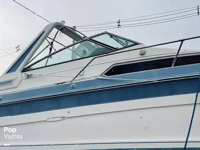 Sea Ray 260 Sundancer