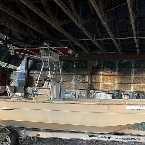 2002 Carolina Skiff 238