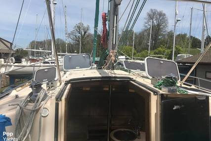 Island Packet Cat 35