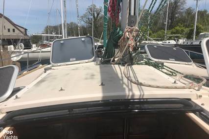 Island Packet Cat 35