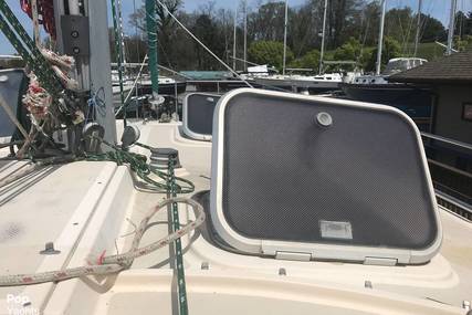 Island Packet Cat 35