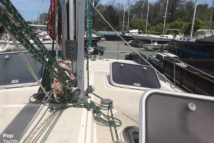 Island Packet Cat 35