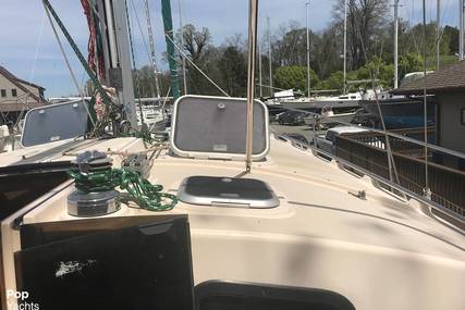 Island Packet Cat 35