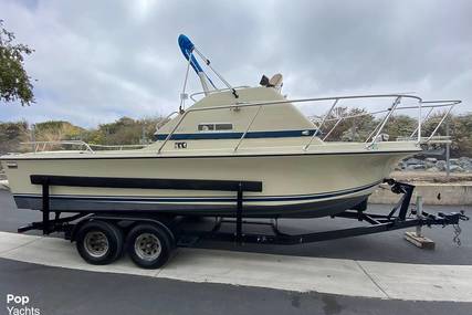 Skipjack Boats Flybridge 24