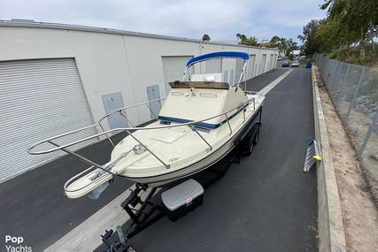 Skipjack Boats Flybridge 24