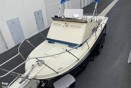 Skipjack Boats Flybridge 24