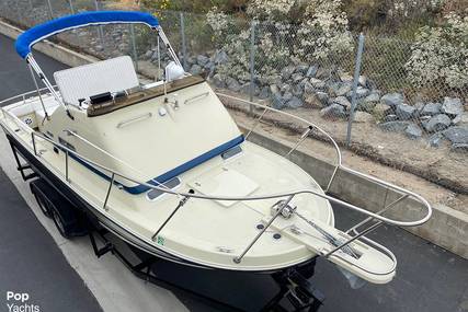 Skipjack Boats Flybridge 24