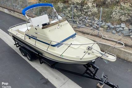 Skipjack Boats Flybridge 24