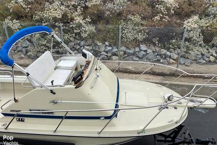 Skipjack Boats Flybridge 24