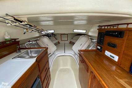 Skipjack Boats Flybridge 24