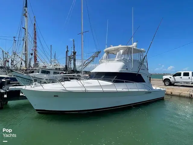 Riviera 43