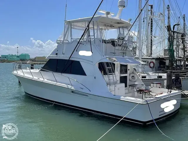 Riviera 43