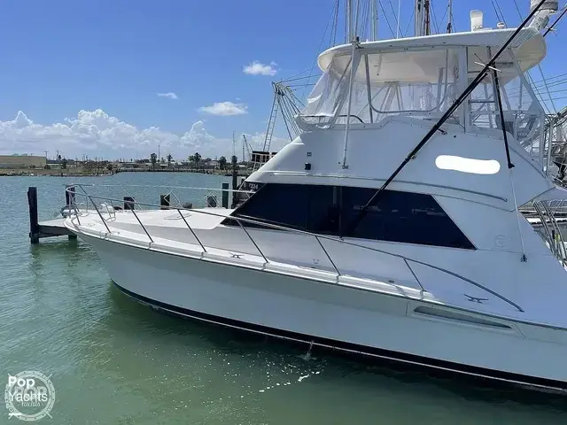 Riviera 43