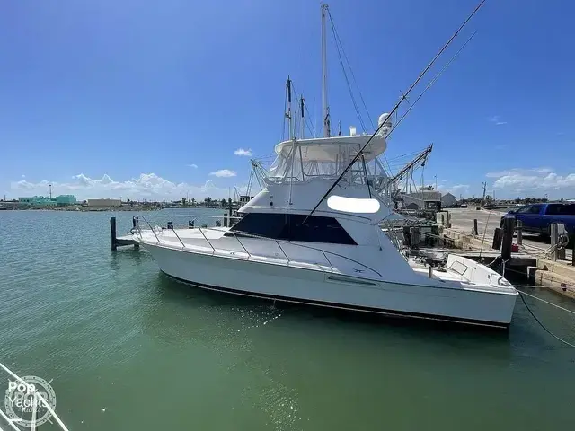 Riviera 43