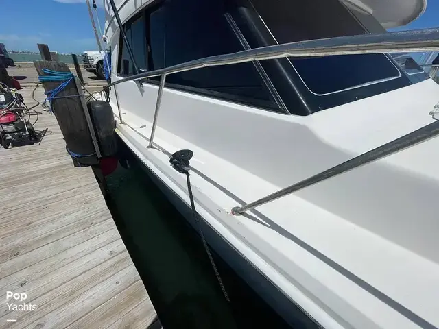 Riviera 43