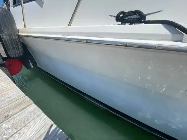 Riviera 43