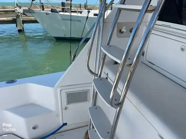 Riviera 43