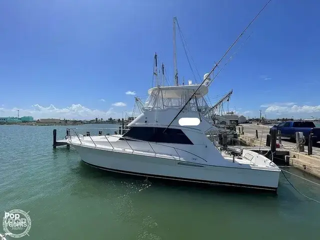 Riviera 43