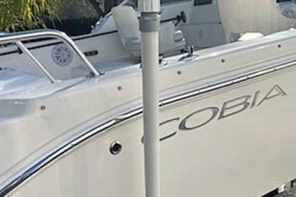 Cobia 180 DC