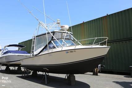 Blackfin 24 Combi