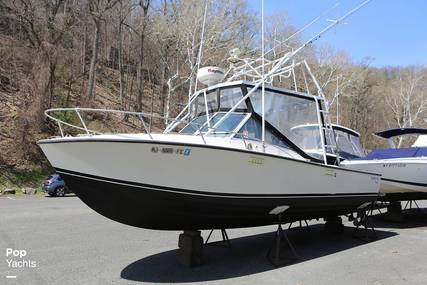 Blackfin 24 Combi