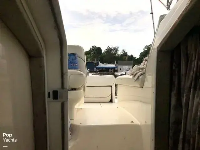 Sea Ray 270 Sundancer Special Edition