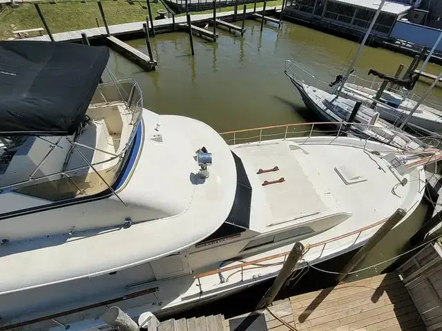 Hatteras 58 Yacht Fish