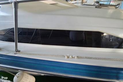 Bayliner Avanti 2955