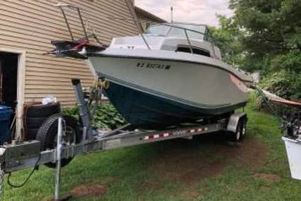 Chris Craft seahawk 254